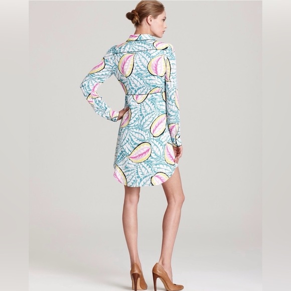 Theory Walda Caribbean Shirt Dress, size 4.  Small pull in fabric (see photos). - Picture 2 of 12